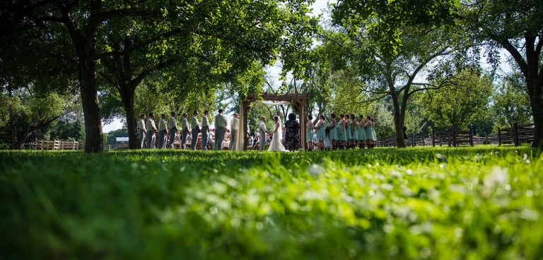 a backyard wedding ceremony