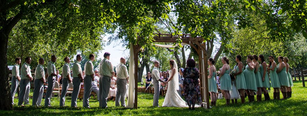 a backyard wedding ceremony under the trees