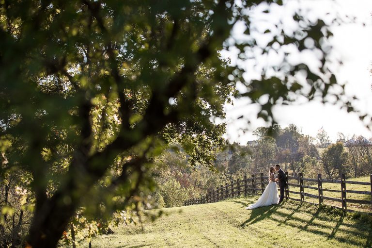Micro Wedding Timeline and Planning Checklist (2025)