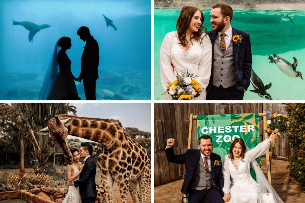 Photo collage of weddings taking place at a zoo and at an aquarium. Two perfect examples of non-traditional wedding venues