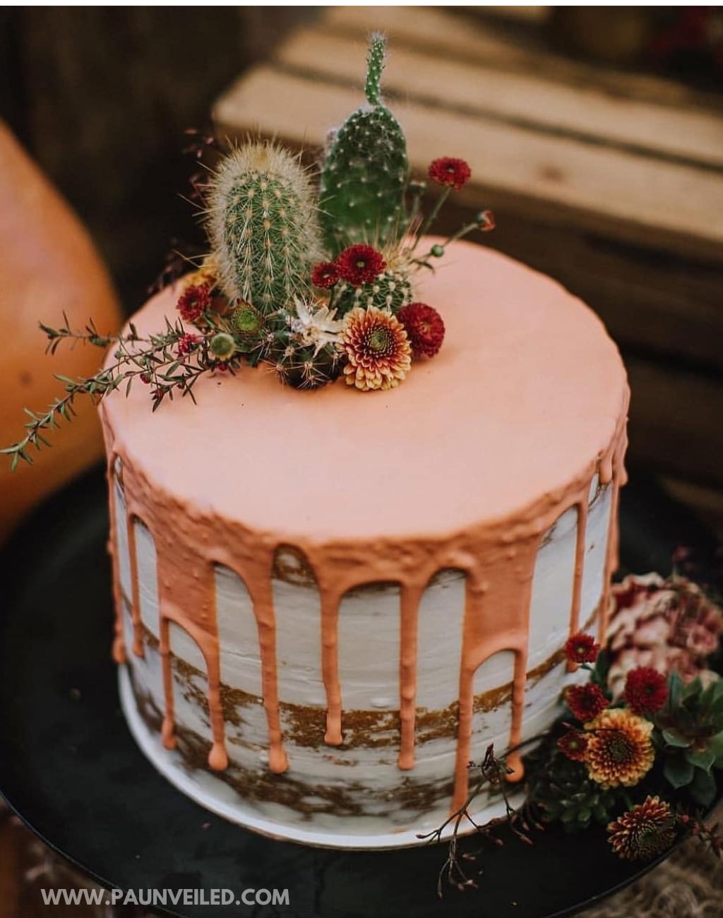 A southwestern rustic 1-tier wedding cake with cactus topper