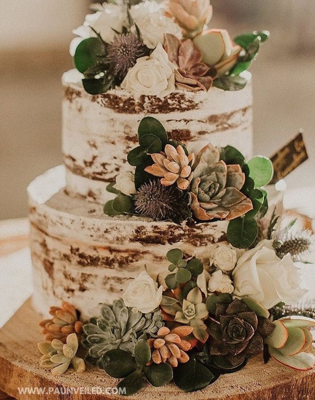 A 2-tier rustic semi-naked wedding cake with succulents