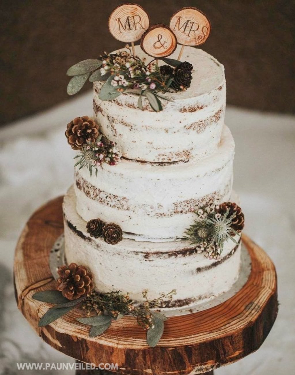 A 3-tier semi-naked rustic winter wedding cake with pinecones