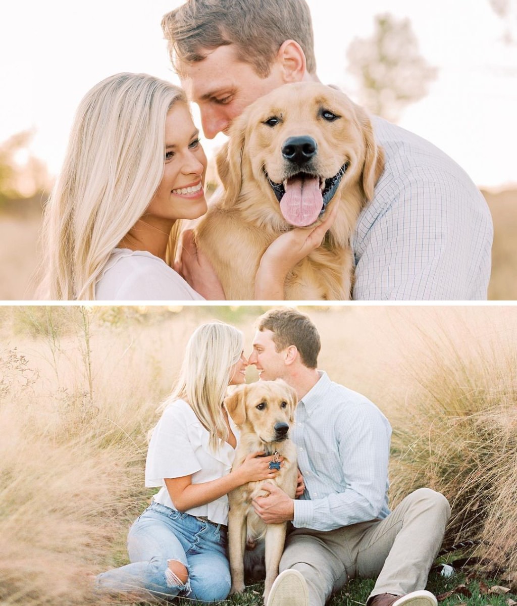 A couple posing for engagement pictures in a field with their Golden Retriever