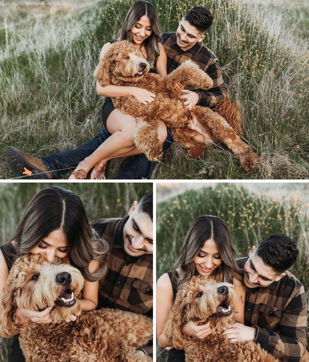 A couple taking their engagement photos with their adorable Goldendoodle dog