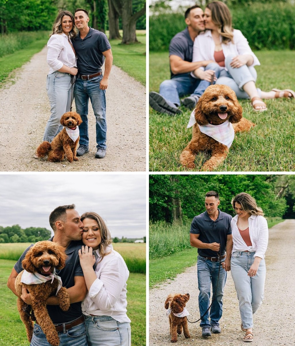 A mini goldendoodle dog with a bandana posing for engagement photos with the couple