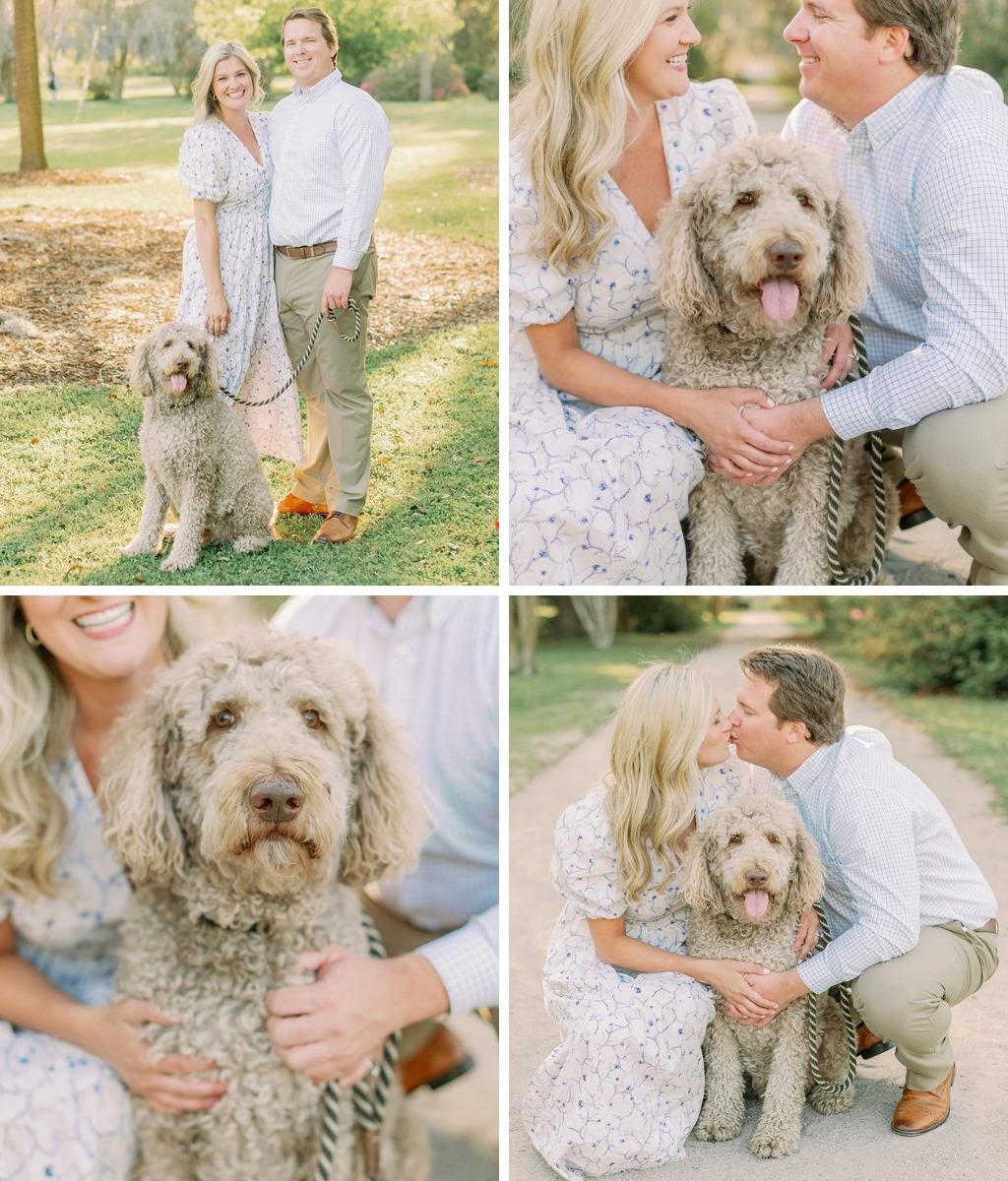 A photo collage showing a couple pose for engagement photos with their big Labradoodle