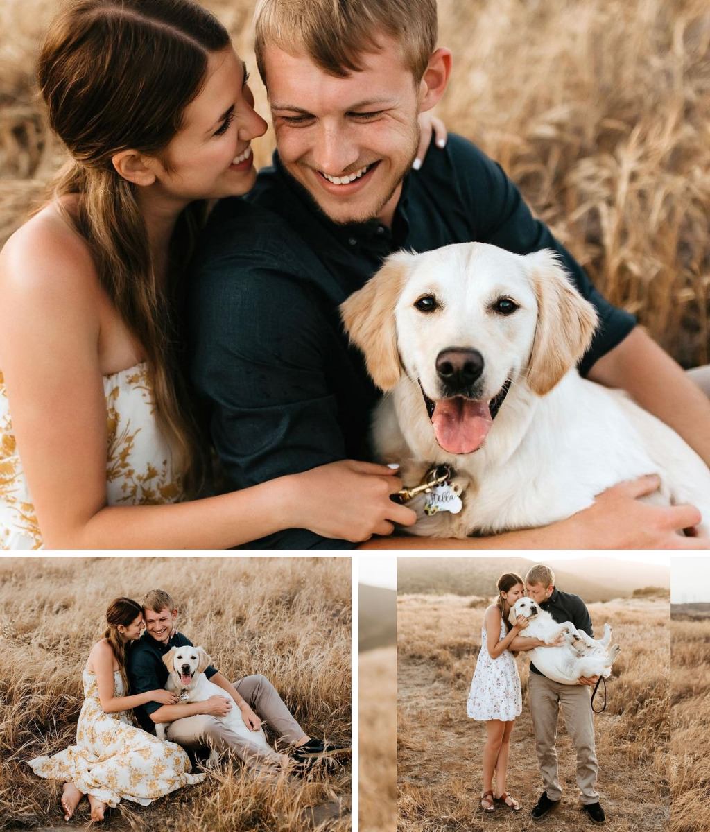 A couple posing with their Yellow Lab dog at their engagement photo shoot.