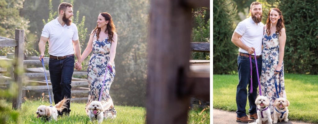 A couple walking through an orchard with their two small dog. They were doing their engagement photos for their upcoming wedding