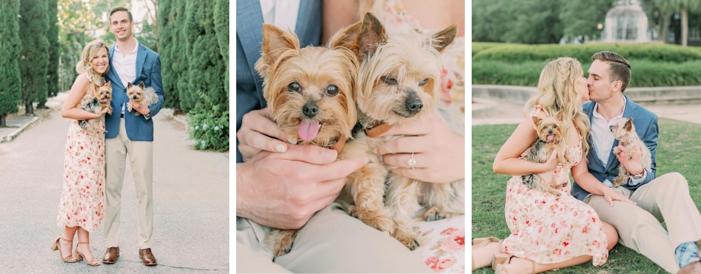 A couple posing for spring engagement photos outside with their 2 cute dogs.