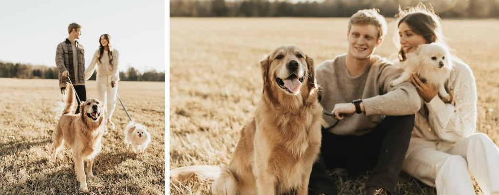 A couples taking engagement photos in a field with their two dogs.