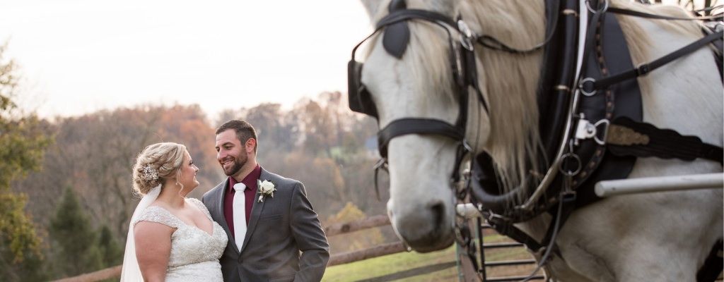 A bride and groom posing with a horse on the wedding day