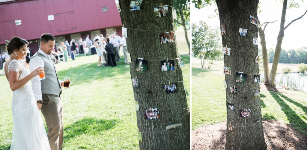 A photo display at a wedding on a big tree that shows older photos of the couple and other family members