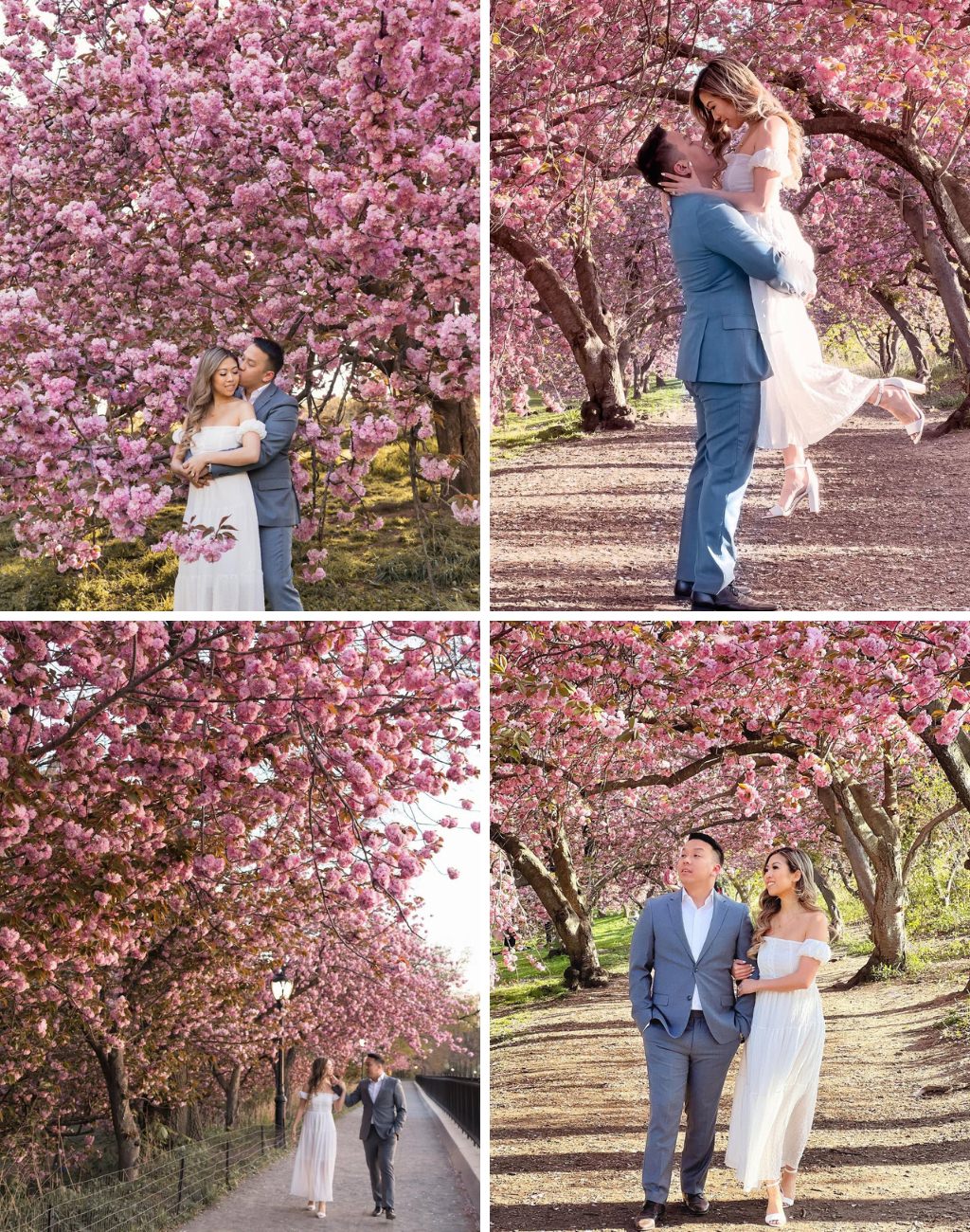 A couple posing for engagement photos under a tree with a ton of spring blossoms