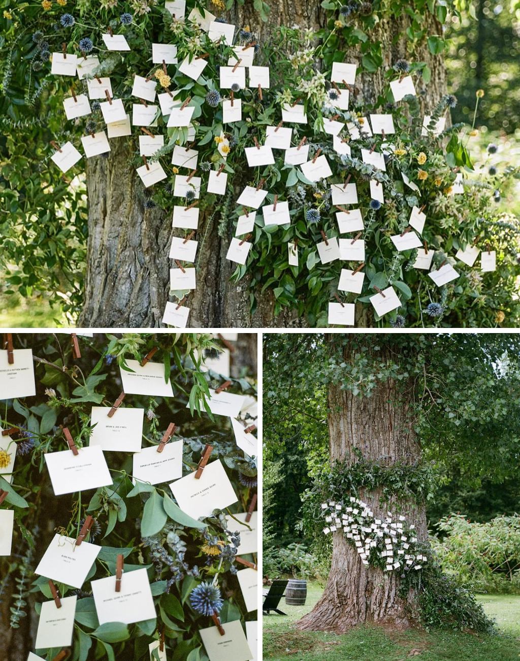 A cute garden wedding seating chart with names on cards around a big tree