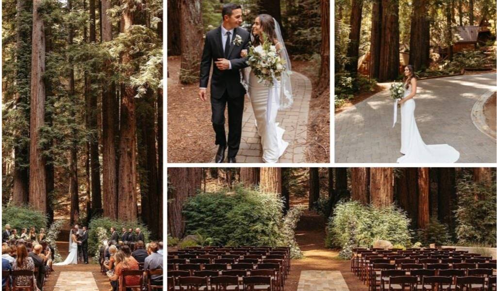A wedding ceremony in a state park